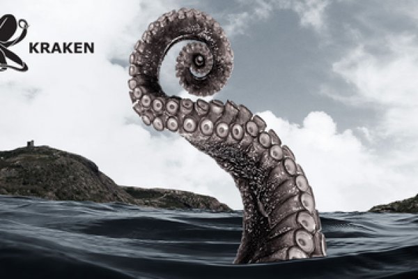 Kraken support