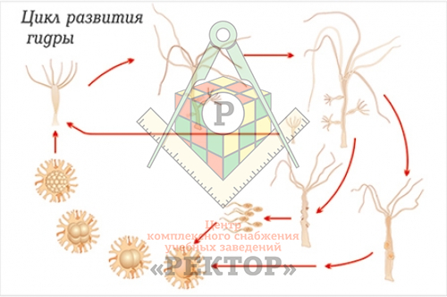 Вход на кракен зеркало